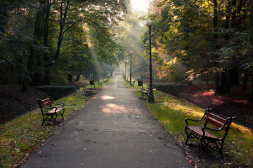 Poranek w parku