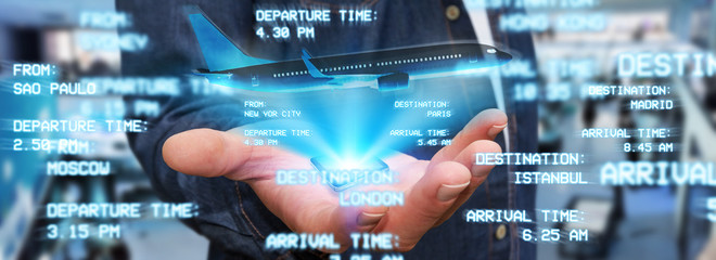 Businessman booking his flight