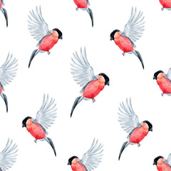 Watercolor bullfinch bird pattern