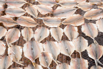the soft focus of Dried fish on the net grid in the sunny day