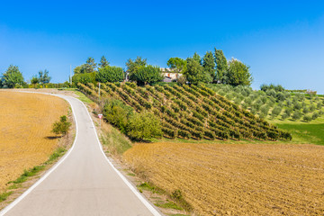 serpentine road through the plowed fields