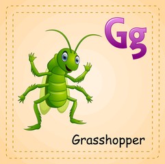 Animals alphabet: G is for Grasshopper