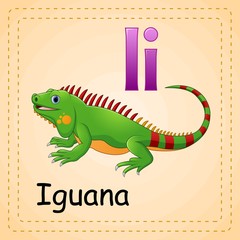 Animals alphabet: I is for Iguana