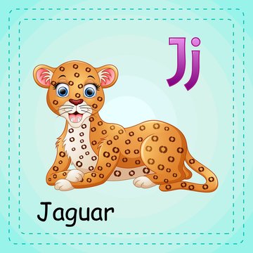 Animals alphabet: J is for Jaguar