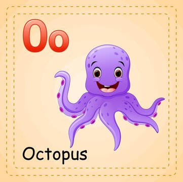 Animals alphabet: O is for Octopus