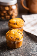 The tasty muffins with chocolate.
