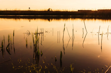 Dawn over lake shore