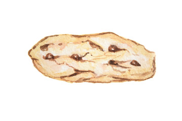Isolated watercolor cookie on white background. Sweet and tasty pastry. Chocolate dessert.
