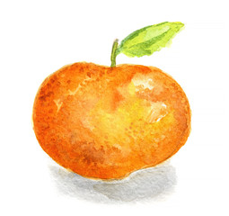 Isolated watercolor orange on white background. Fresh and sour citrus tropical fruit.