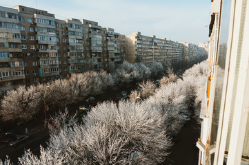 Frozen trees, Bucharest, Romania