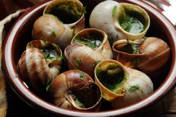 Fototapeten Escargot de Bourgogne Bourguignonne Helix pomatia Эскарго Eskarqo แอ็สการ์โก 法國蝸牛 エスカルゴ Ślimaki lądowe w kuchni אסקרגו 에스카르고 Schnecke Lebensmittel اسکارگو Caragol Lumache © Comugnero Silvana