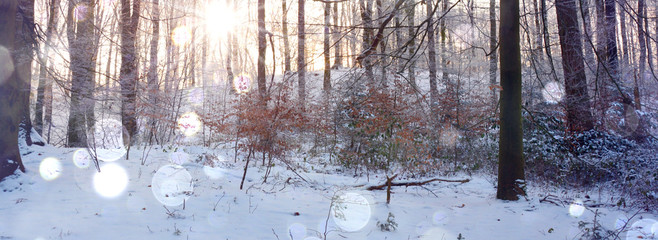 Obraz premium Winterwald - Zauberhafte Winterstimmung