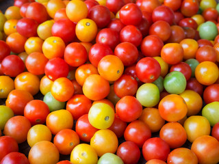 Fototapeta na wymiar Fresh tomato for sale at market,Thailand
