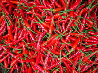 Fototapeta premium Red chillies for sale at market,Thailand