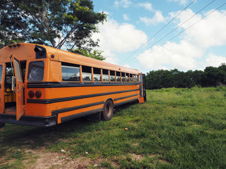 Amerikanischer Schulbus in der Wildnis