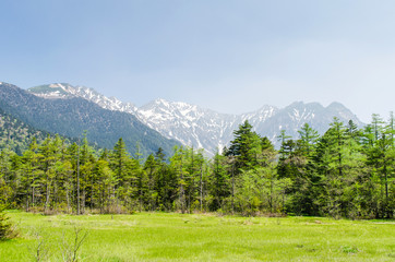 Fototapeta na wymiar Hotaka mountain range and green field in spring at kamikochi national park nagano japan