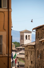assisi