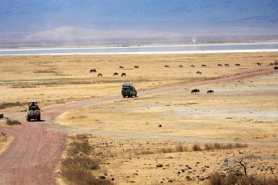 Safari en jeep en Tanzanie, Serengeti