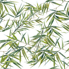 Naklejki  Akwarela ilustracja liści bambusa, wzór na białym tle