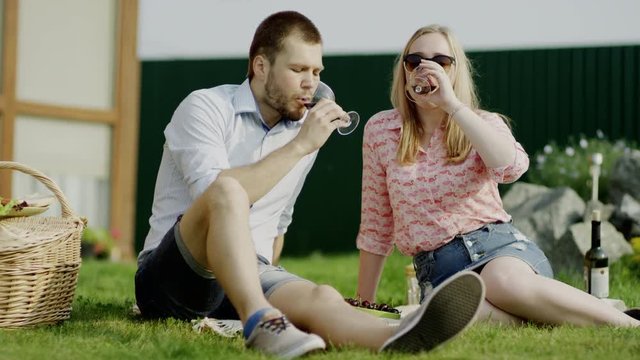clinking glasses on family picnic