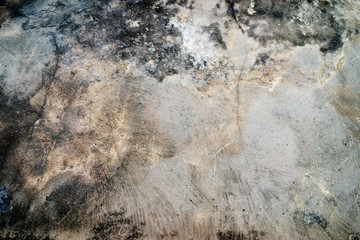 Your text here. Concrete grey textured background.