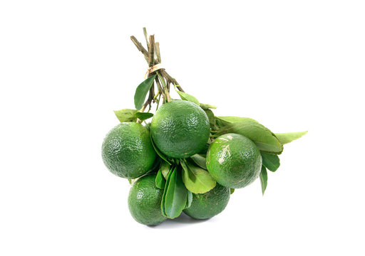 Limes whole with green leaves isolated on white background.Limes