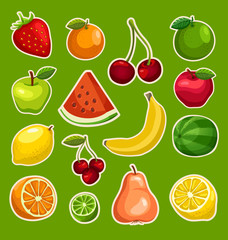 Fruit Festival : Fruit Elements : Vector Illustration 