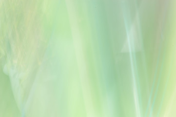 Blurred abstract background. Pastel green.