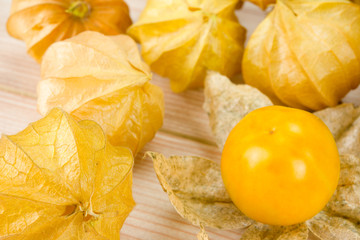 Physalis - Andenbeere - Kapstachelbeere