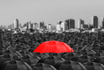 red umbrella in mass of black umbrellas.