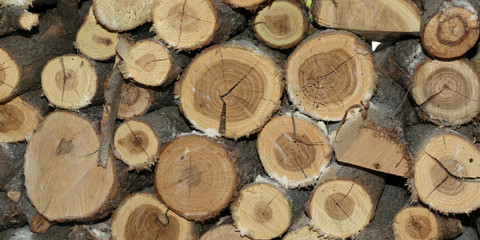 Log stack texture firewood - panorama
