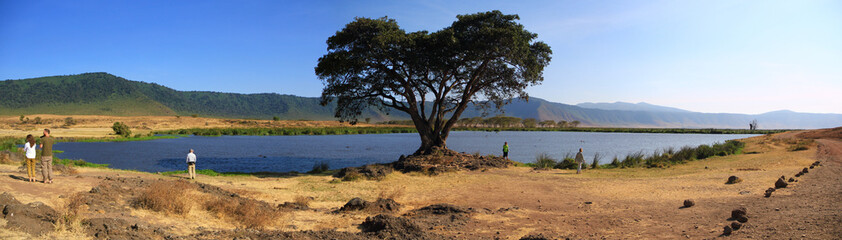 Fototapeta na wymiar Paysage africain de Tanzanie