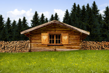 Berghütte mit Brennholz
