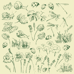 Elements of nature kit 