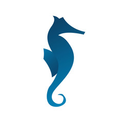 Seahorse Vector