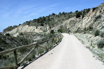 cyclist on green route rail trail
