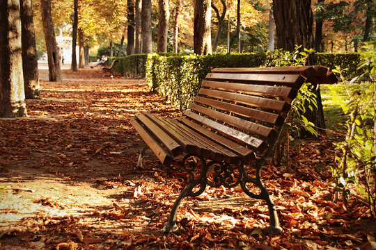 Banco solitario en el Parque de El Retiro en Madrid a la llegada del otoño