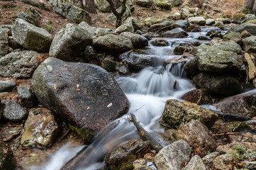 Naklejka na ściany i meble Water stream flowing in the mountain between rocks. Navacerrada, Madrid, Spain