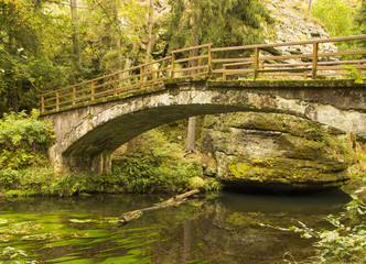 Fototapeta na wymiar Bohemian Switzerland National Park, the river in the forest