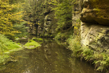 Bohemian Switzerland National Park, the river in the forest