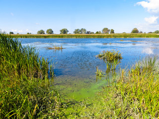 View on a river Dnieper on early autumn