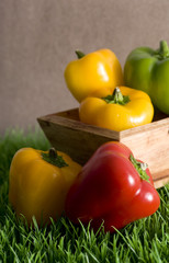 mix of dwarfs peppers