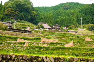 兵庫県多可町・日本棚田百景　岩座神（いさりがみ）の秋