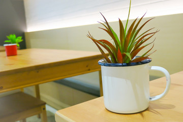 Cactus on wooden table. Cactus in flowerpot on wooden table