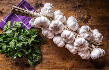 Garlic. Bunch of fresh garlic with celery herbs.