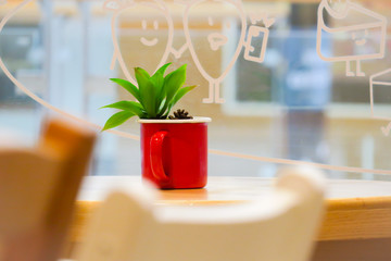 Soft background of green cactus. Cactus in flowerpot on wooden table