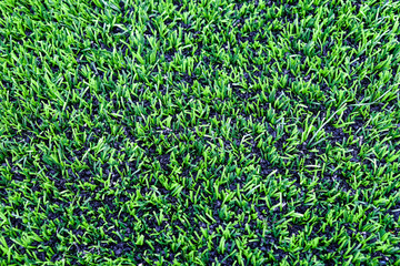 Artificial grass of the football (soccer) field
