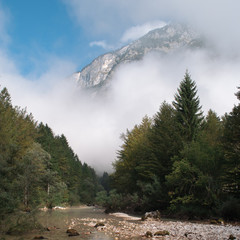 High mountain landscape with pine forest and mountain river.