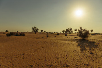 Sunset in the Arabian desert