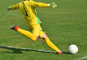 Soccer goalkeeper kicks the ball © majorosl66